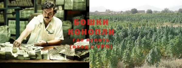 PSILOCYBIN Алексеевка